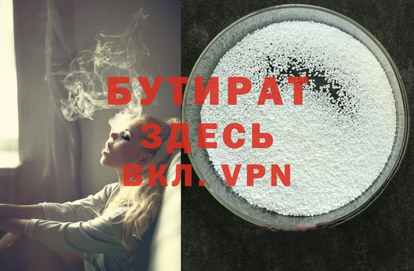 индика Сатка