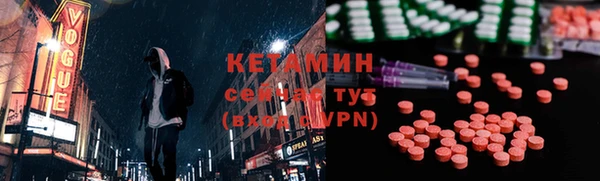 крисы Корсаков