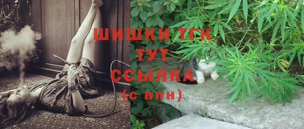метадон Сафоново