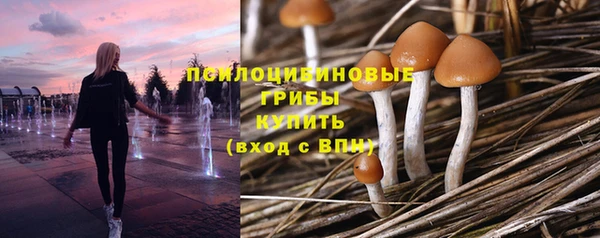 экстази Алексин